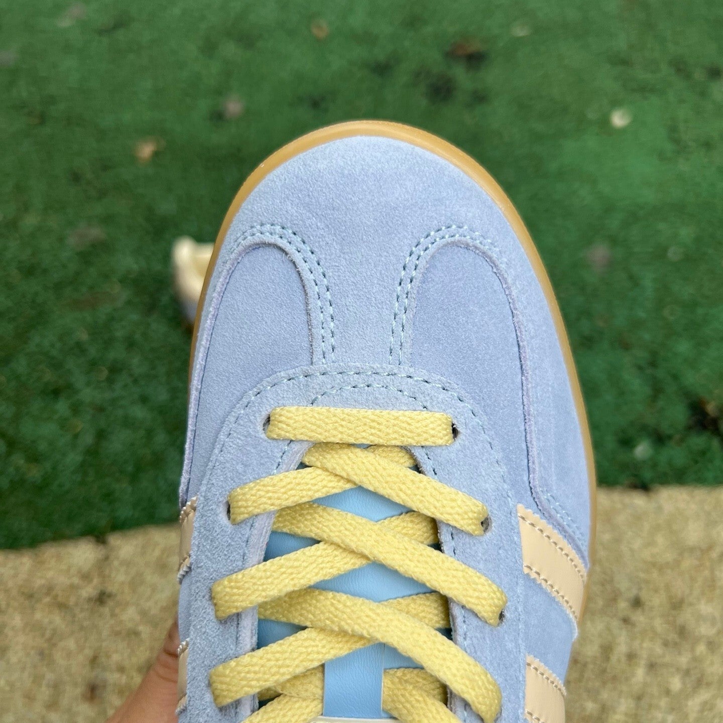 Gazelle Indoor Azul y Amarillo