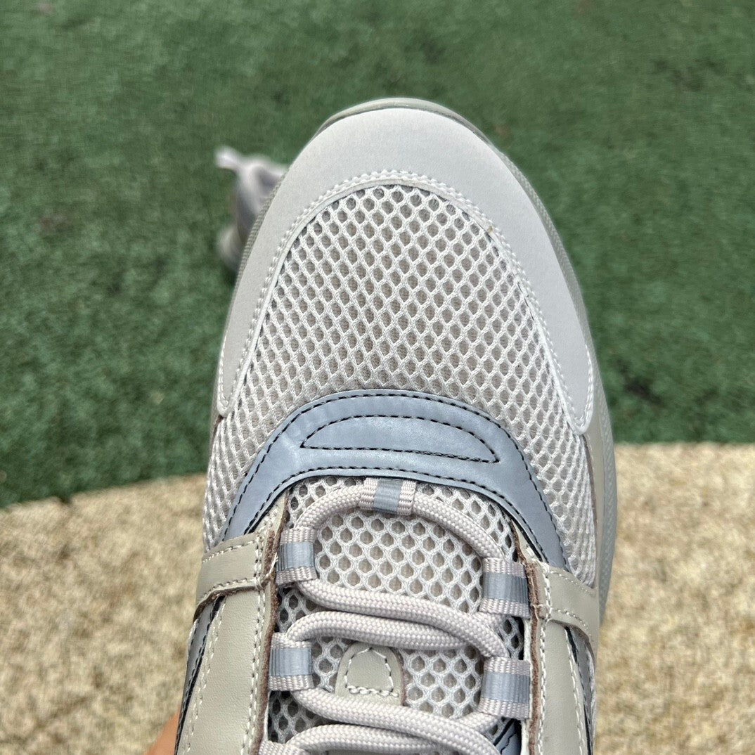 Dior B22 Gris