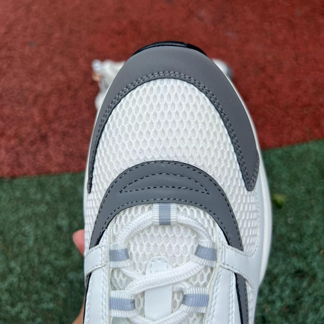 Dior B22 Blanco y Gris