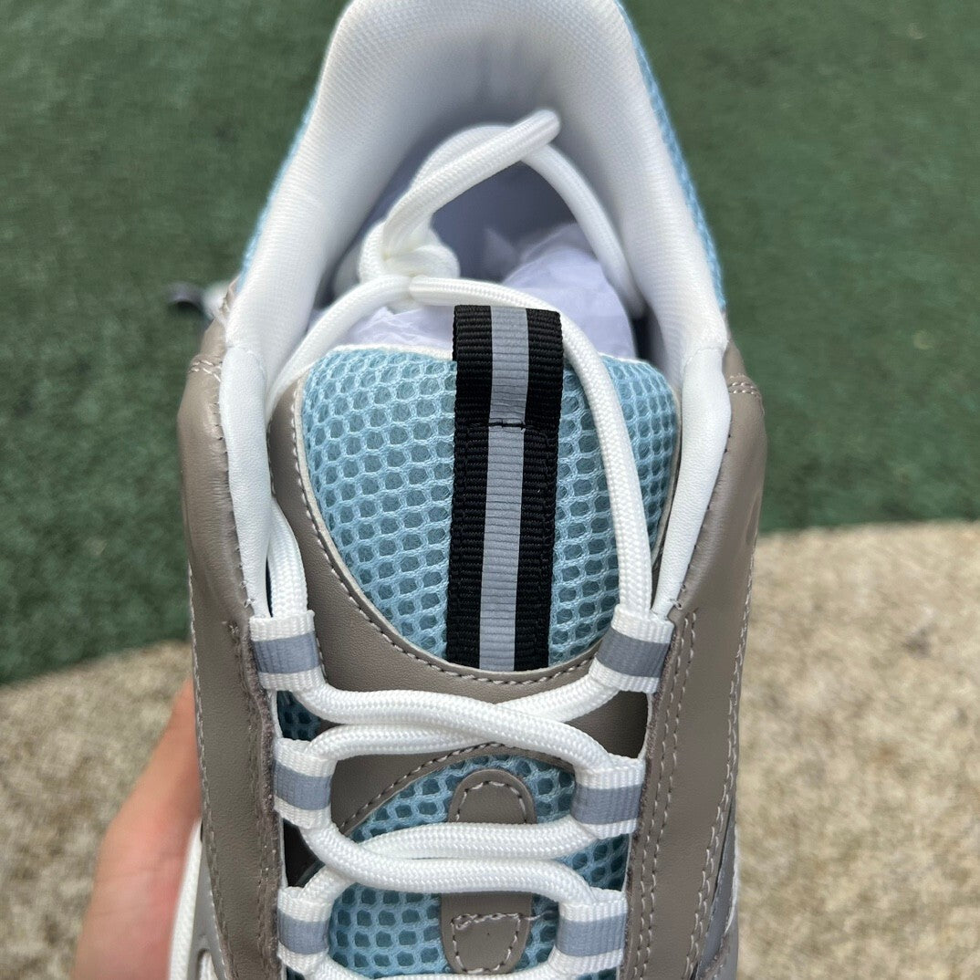 Dior B22 Gris Azul