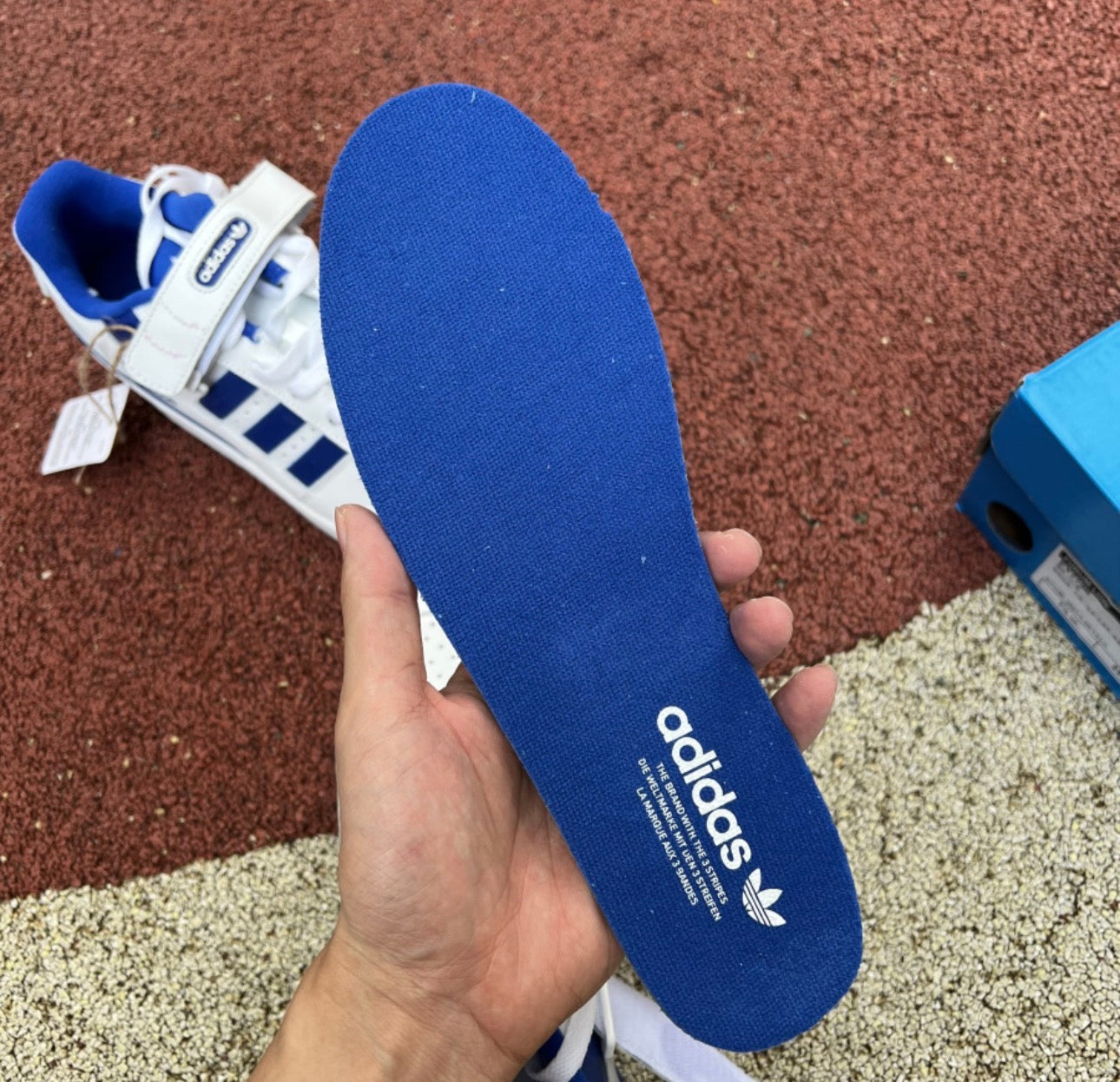 Forum Low Azul