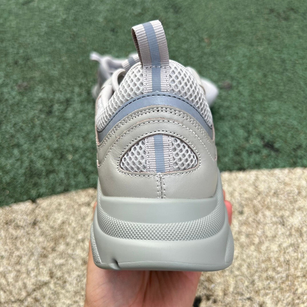 Dior B22 Gris