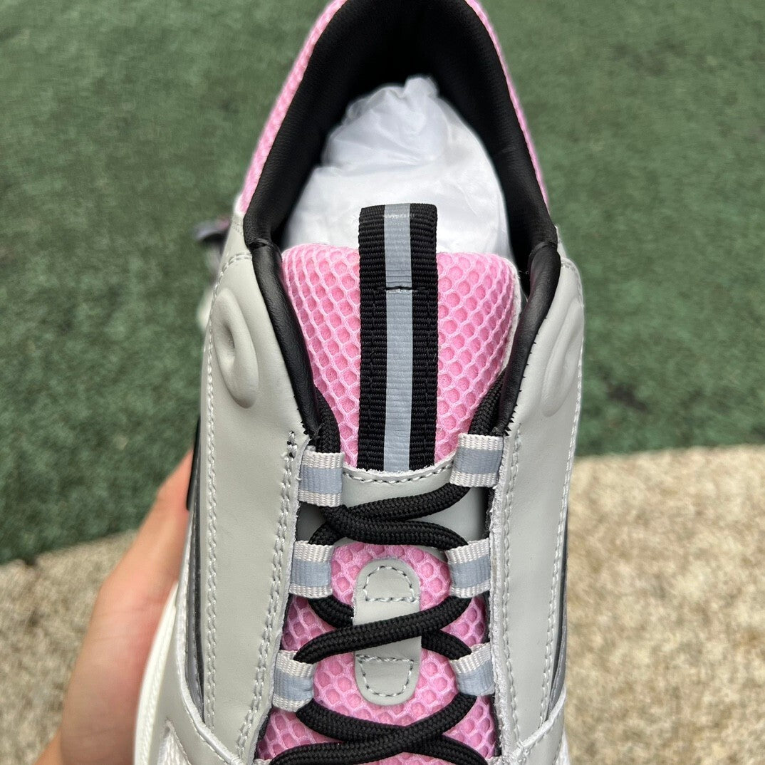 Dior B22 Rosado y Gris