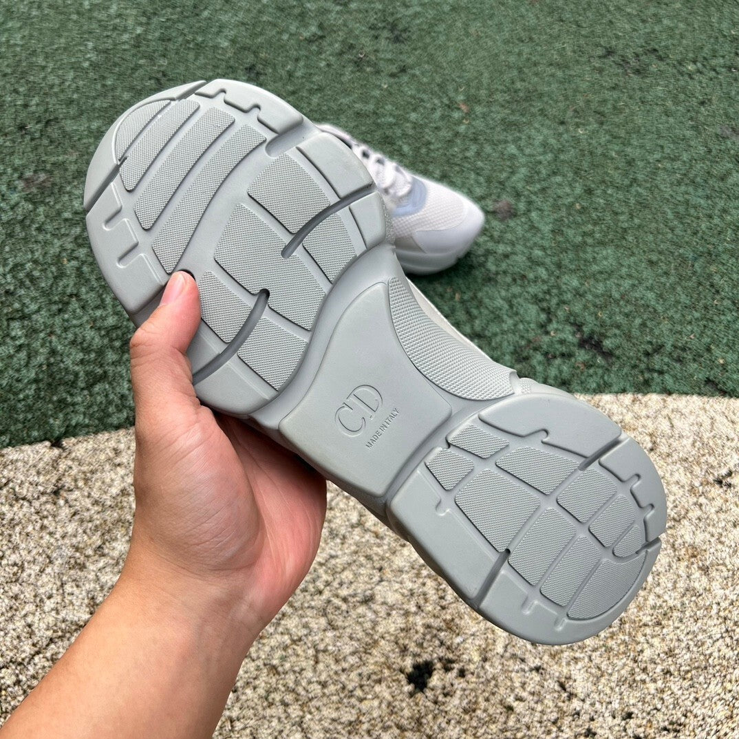 Dior B22 Gris