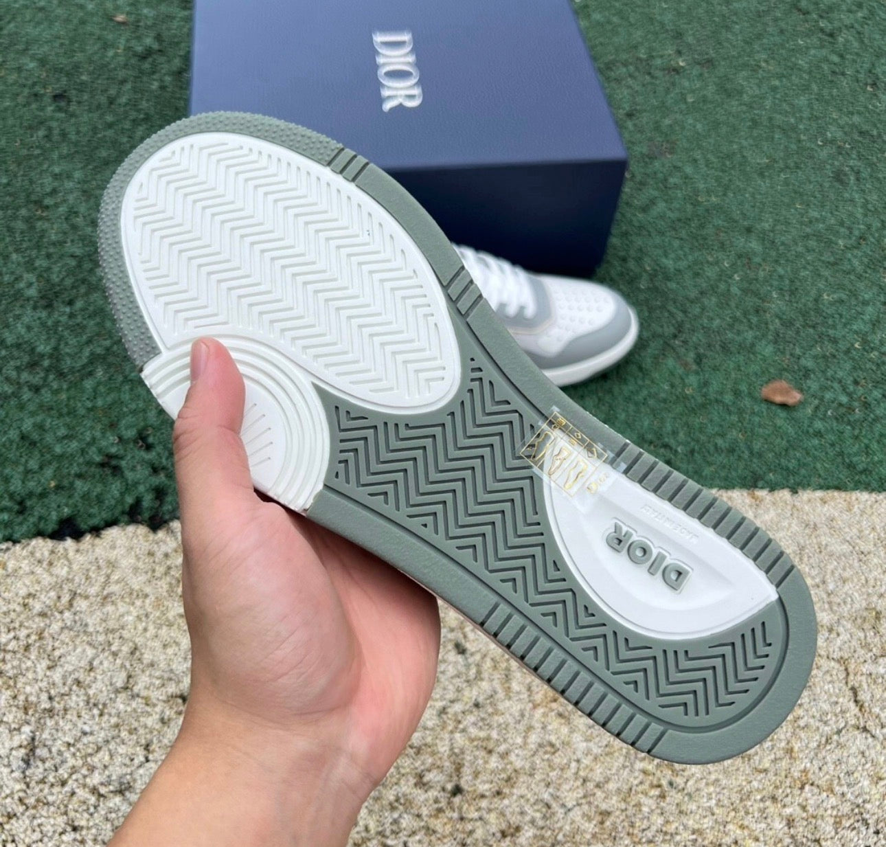 Dior B27 Gris