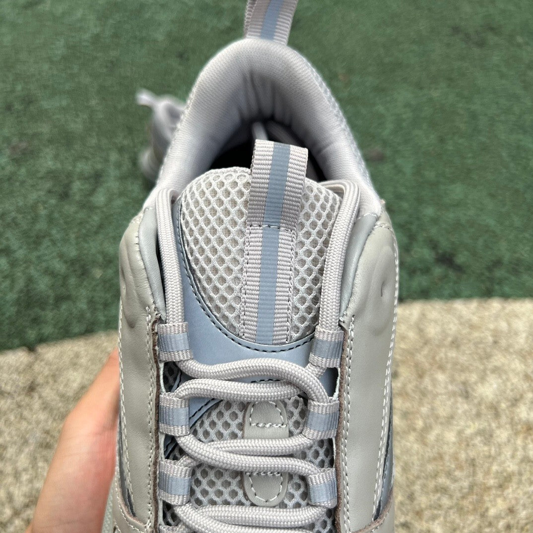 Dior B22 Gris