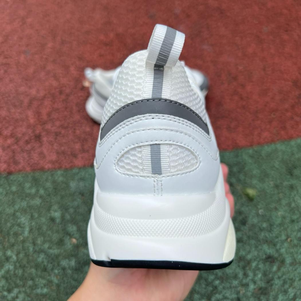 Dior B22 Blanco y Gris