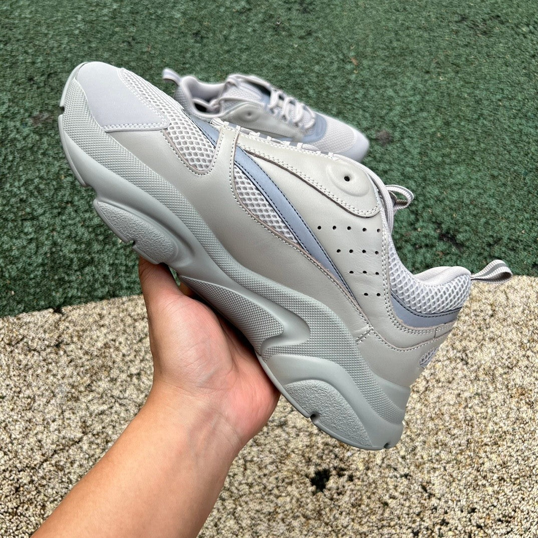 Dior B22 Gris