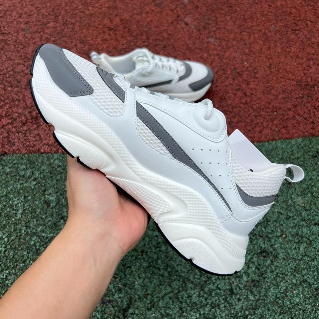 Dior B22 Blanco y Gris