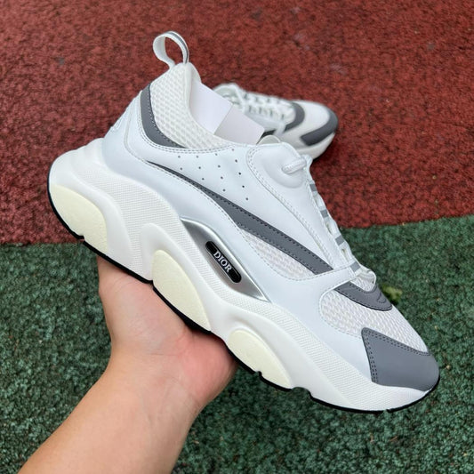 Dior B22 Blanco y Gris