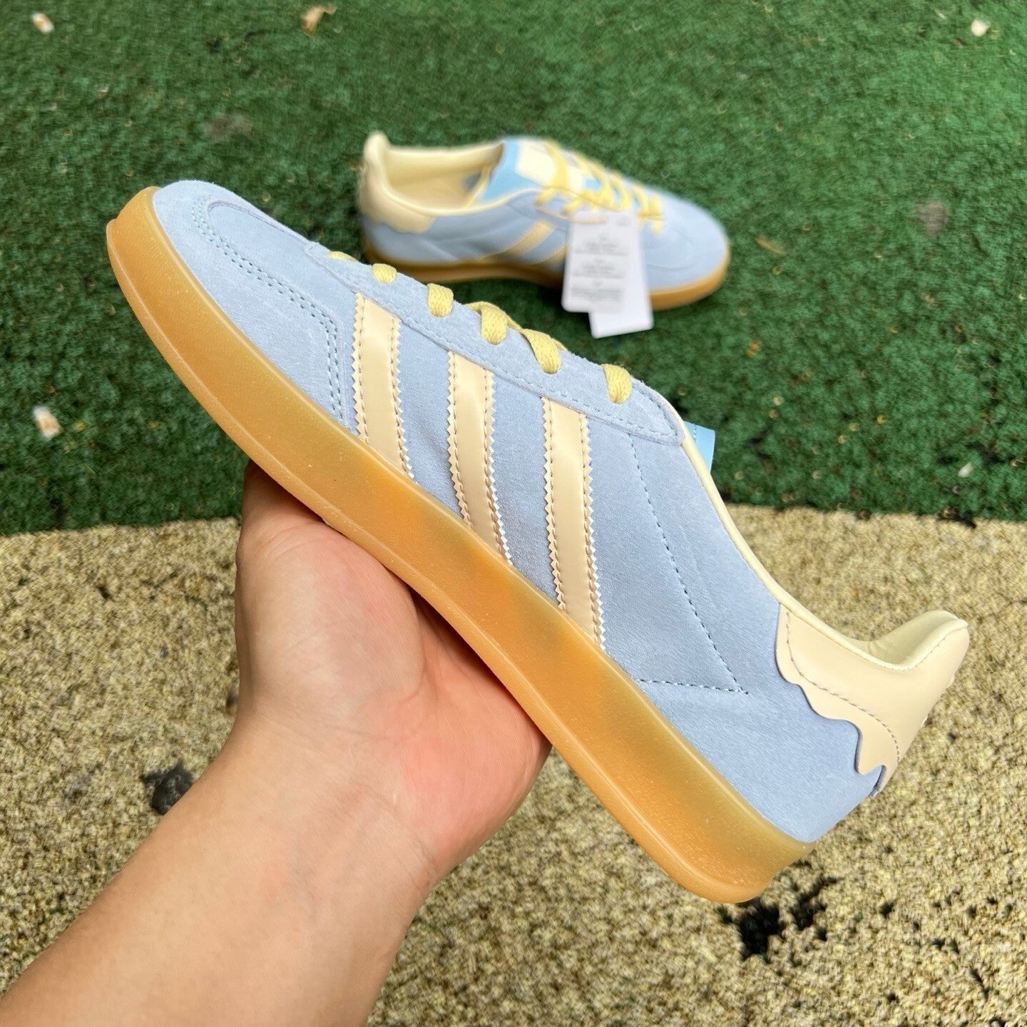 Gazelle Indoor Azul y Amarillo