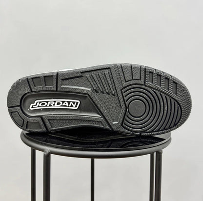 Jordan Retro 3 Animal Icon