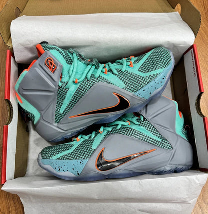 Nike Lebron 12 NSRL