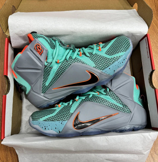 Nike Lebron 12 NSRL