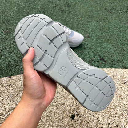 Dior B22 Gris