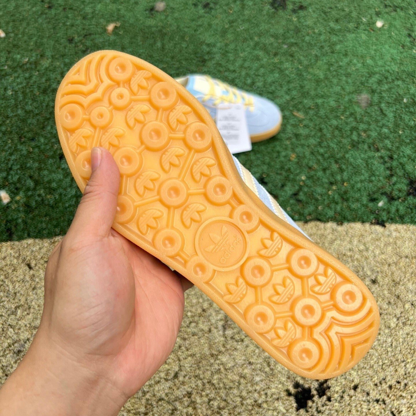 Gazelle Indoor Azul y Amarillo