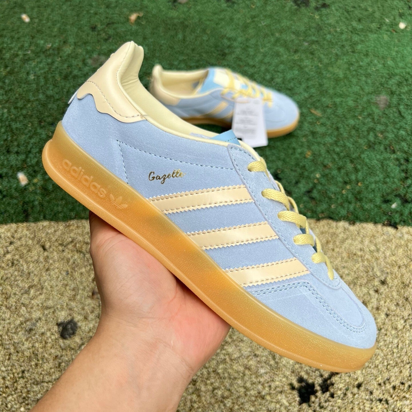 Gazelle Indoor Azul y Amarillo