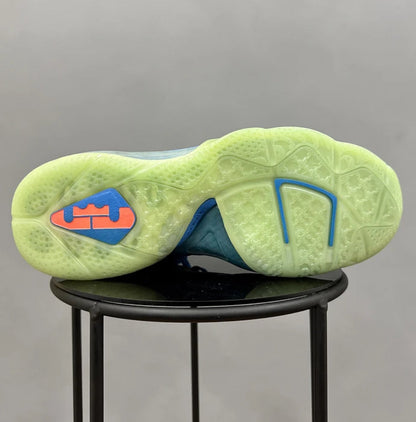 Nike Lebron 9 Blue