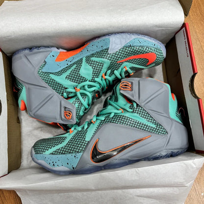 Nike Lebron 12 NSRL