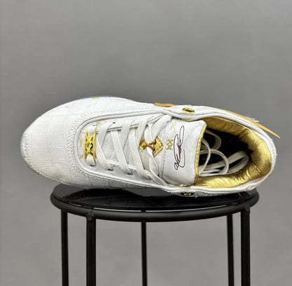 Nike Lebron 20 The Moment