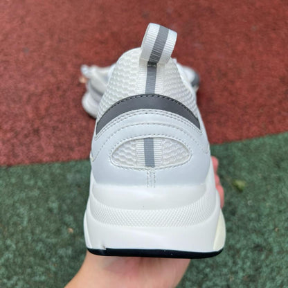 Dior B22 Blanco y Gris