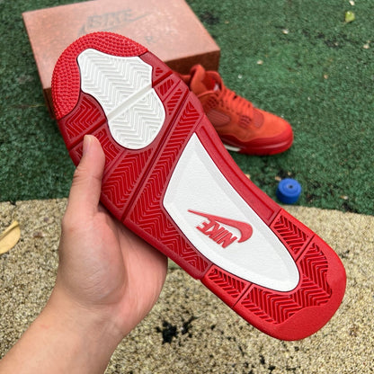 Jordan Retro 4 Bike