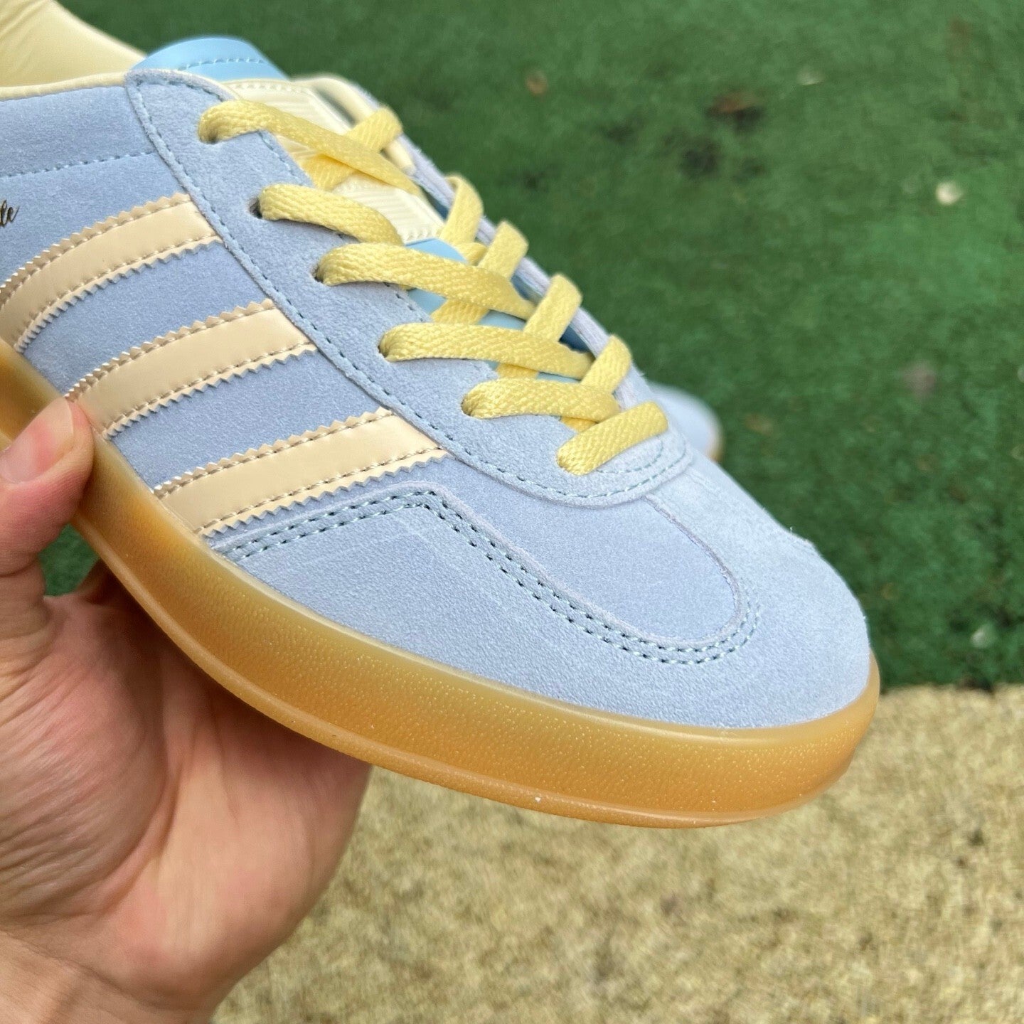 Gazelle Indoor Azul y Amarillo