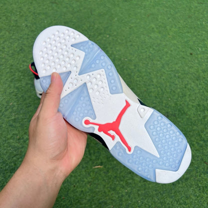 Jordan Retro 6 Tinker